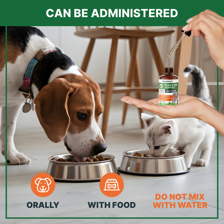 Flea and Tick Oral Support for Dogs and Cats – Natural Flea Control with Multivitamin - Supplement Drops for Small and Large Dogs – Made in The USA