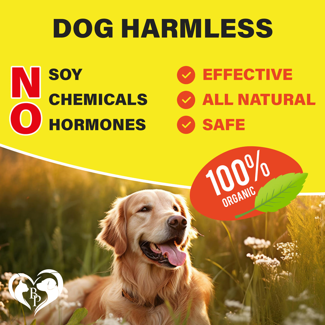 Dog Anti Itch & Allergy Relief Chews - Dry Itchy Skin & Hot Spot Treatment with Probiotic, Omega 3 Oil- Immune Supplement & Seasonal Allergies Medicine for Dogs, Puppy - 140 Bites