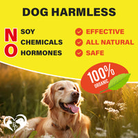 Dog Anti-Itch & Allergy Support Chews for dogs — Beloved Pets, photo 7 — photo 7