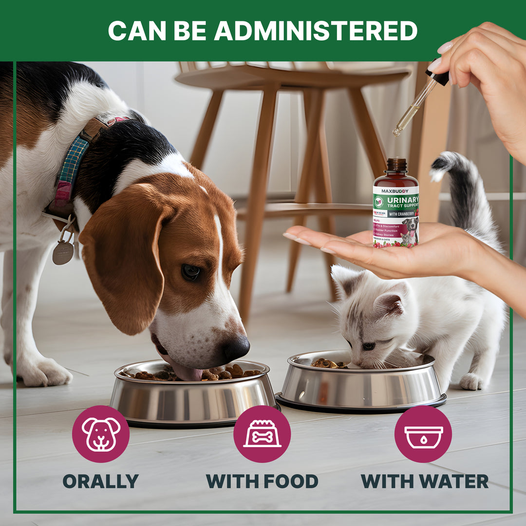 Natural UTI Treatment Support - Cranberry Urinary Tract Infection Care & Prevention Assistance for Cats and Dogs – Kidney & Bladder Wellness Supplement Drops - Support for Urine Flow