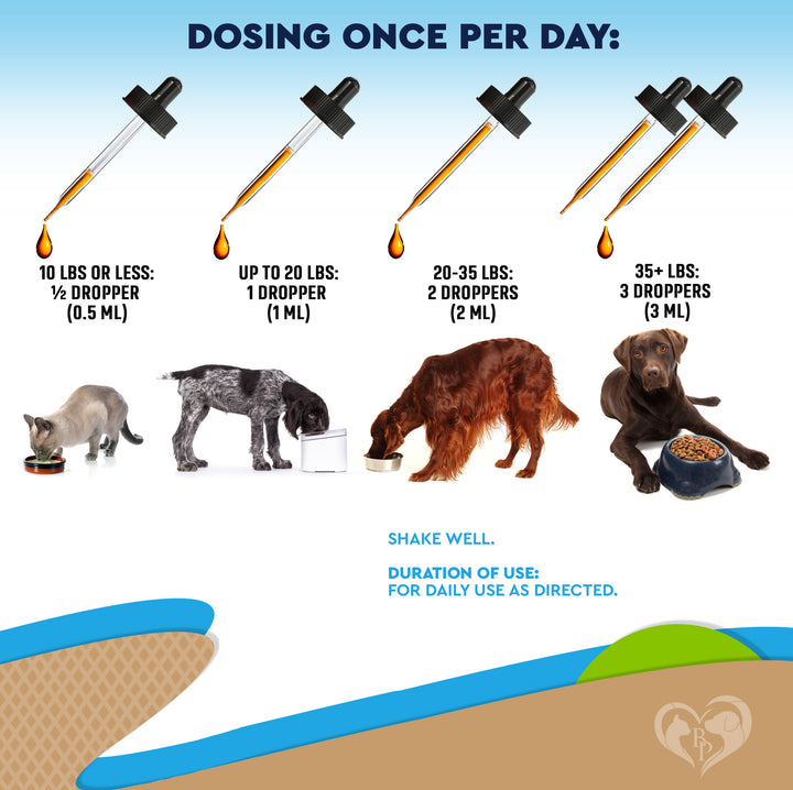 Natural Digestive Support for Dogs & Cats – Herbal Blend with Probiotics – Supports Normal Gut & Flora Balance – Daily Wellness Formula