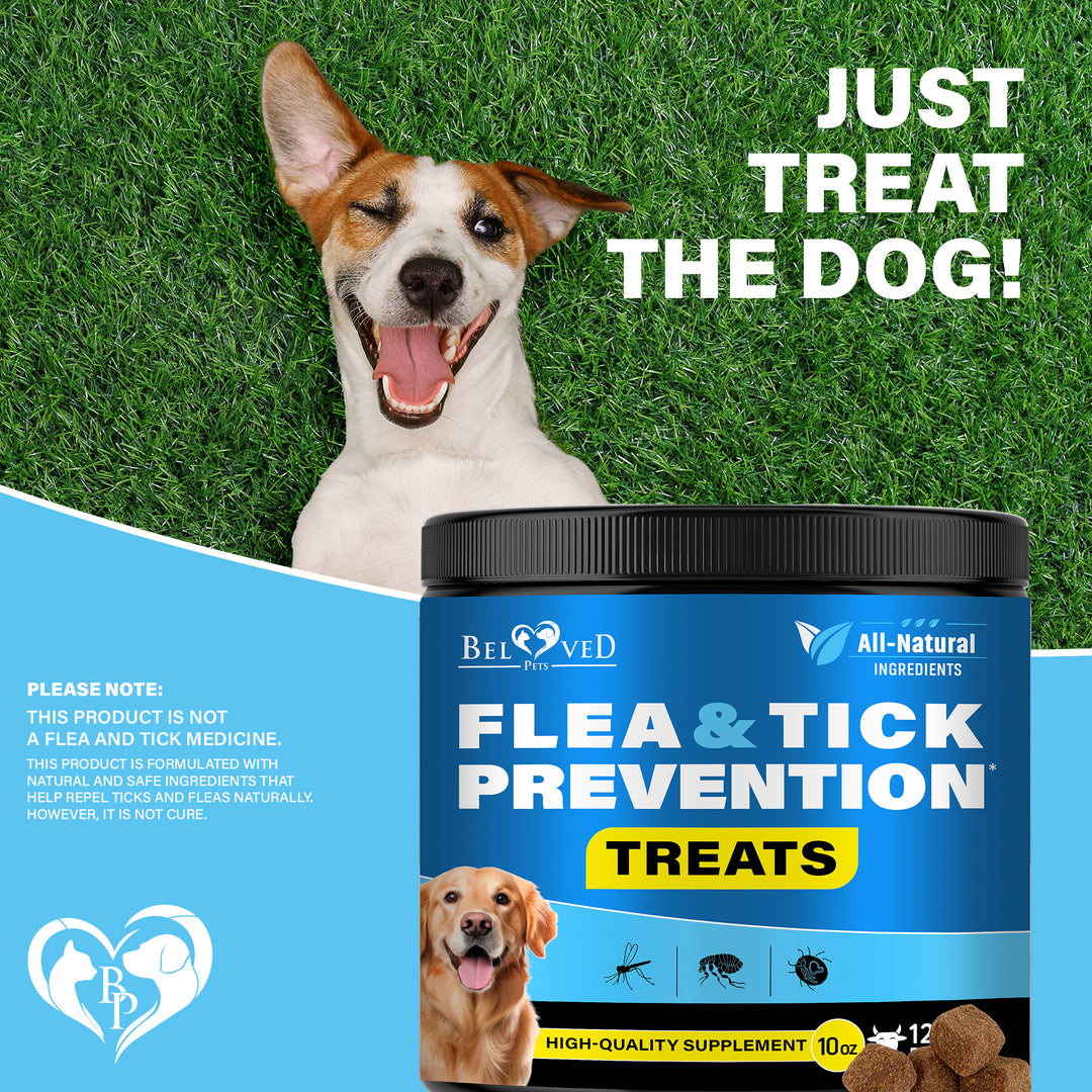 Beloved Pets Flea and Tick Prevention Chewable Pills for Dogs - Revolution Oral Flea Treatment for Pets - Pest Control & Natural Defense - Chewables Small Tablets Made in USA (Beef)