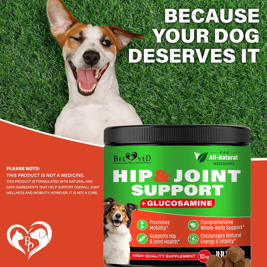 Dog Hip and Joint Supplement & Arthritis Pain Relief Treats - Glucosamine Chondroitin MSM Soft Chews for Senior Dogs - Natural Medicine & Support Mobility - Turmeric Vitamins for Dysplasia