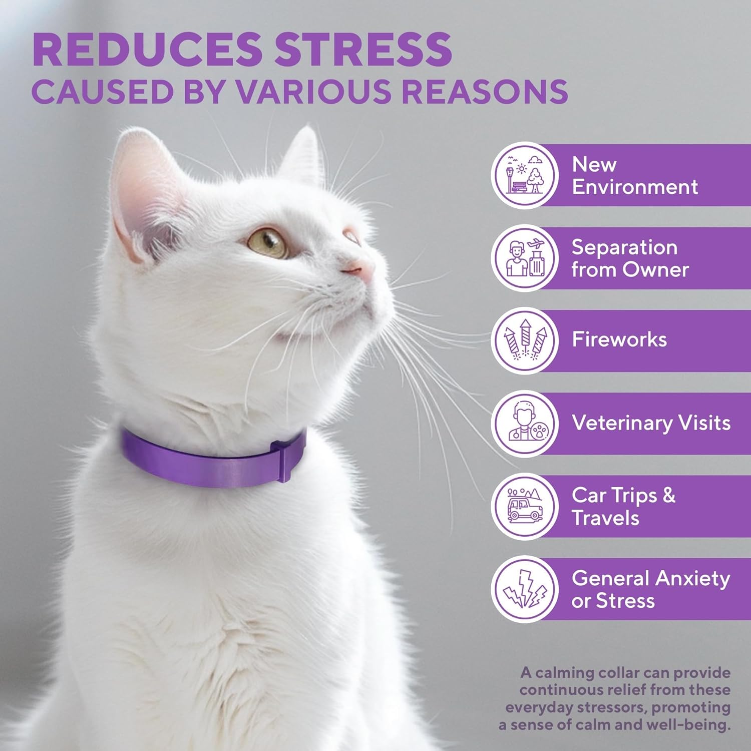 Relaxivet Calming Collar for Cats and Small Dogs Reduce Anxiety Your Pets Belovedpetsbrand