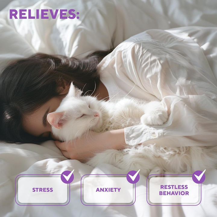 Relaxiv Cat Calming Diffuser & Pet Anti Anxiety Products - Feline Calm Pheromones Plug in & Cats Stress Relief Comfort Helps with Pee, New Zone, Aggression (2 Diffusers + 2 Refills)