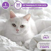Beloved Pets Cat Calming Diffuser & Pet Anti Anxiety Products for cats — Beloved Pets, photo 4 — photo 4