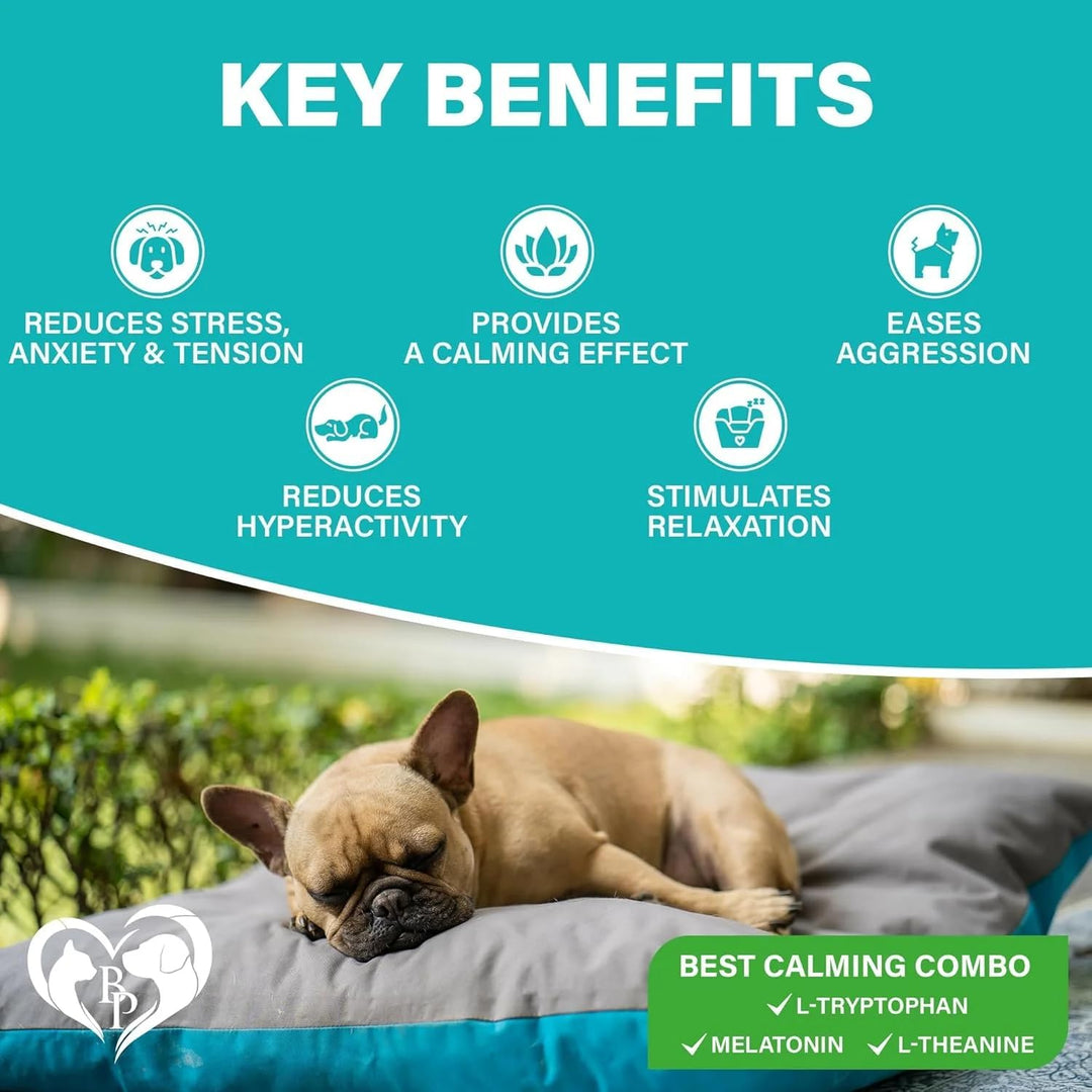Beloved Pets Calming Chews for Dogs with Melatonin - Bacon Flavor, Made in USA