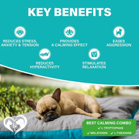 Beloved Pets Calming Chews for Dogs with Melatonin for dogs — Beloved Pets, photo 7 — photo 7