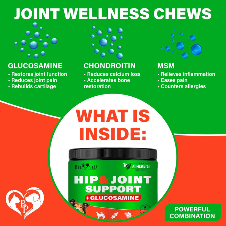 Dog Hip and Joint Supplement & Arthritis Pain Relief Treats - Glucosamine Chondroitin MSM Soft Chews for Senior Dogs - Natural Medicine & Support Mobility - Turmeric Vitamins for Dysplasia - USA