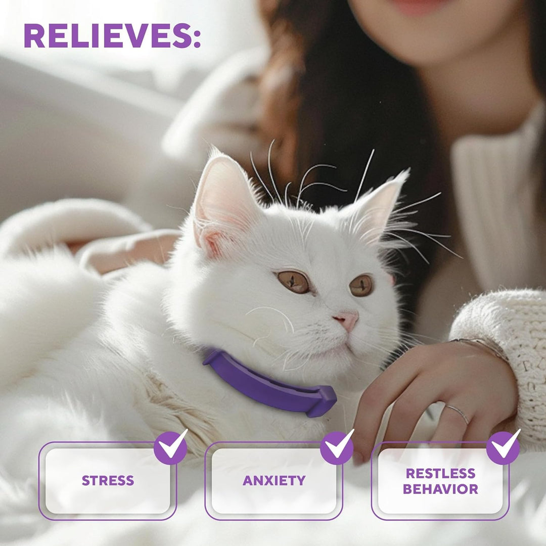 Feline Anxiety Relief Collar Purchase photo