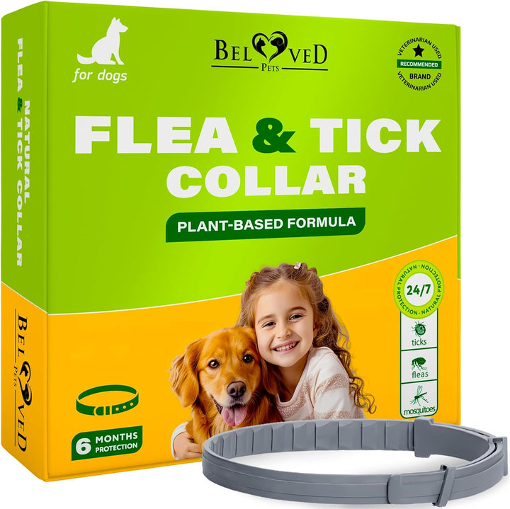 Natural Flea & Tick Collar for Dogs - 6 Months Control of Best Prevention & Safe Treatment - Anti Fleas and Ticks Essential Oil Repellent (1 Count (Pack of 1))