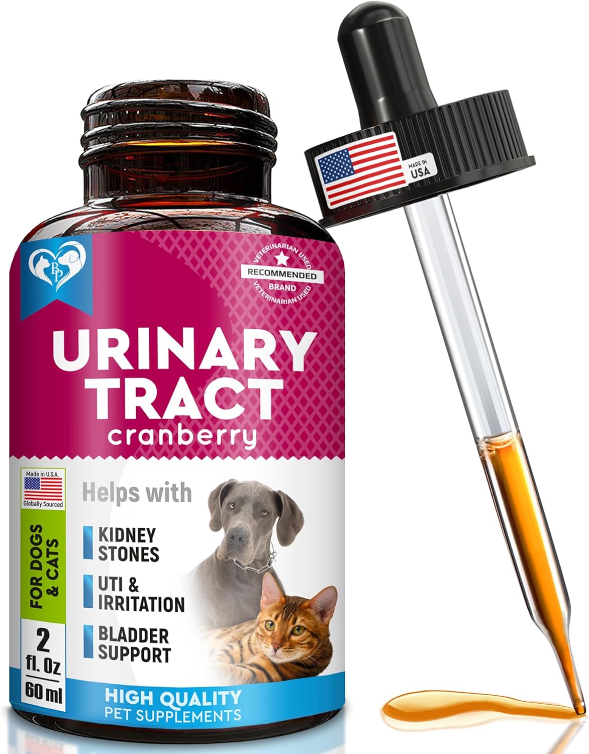 Best antibiotic for canine uti best sale