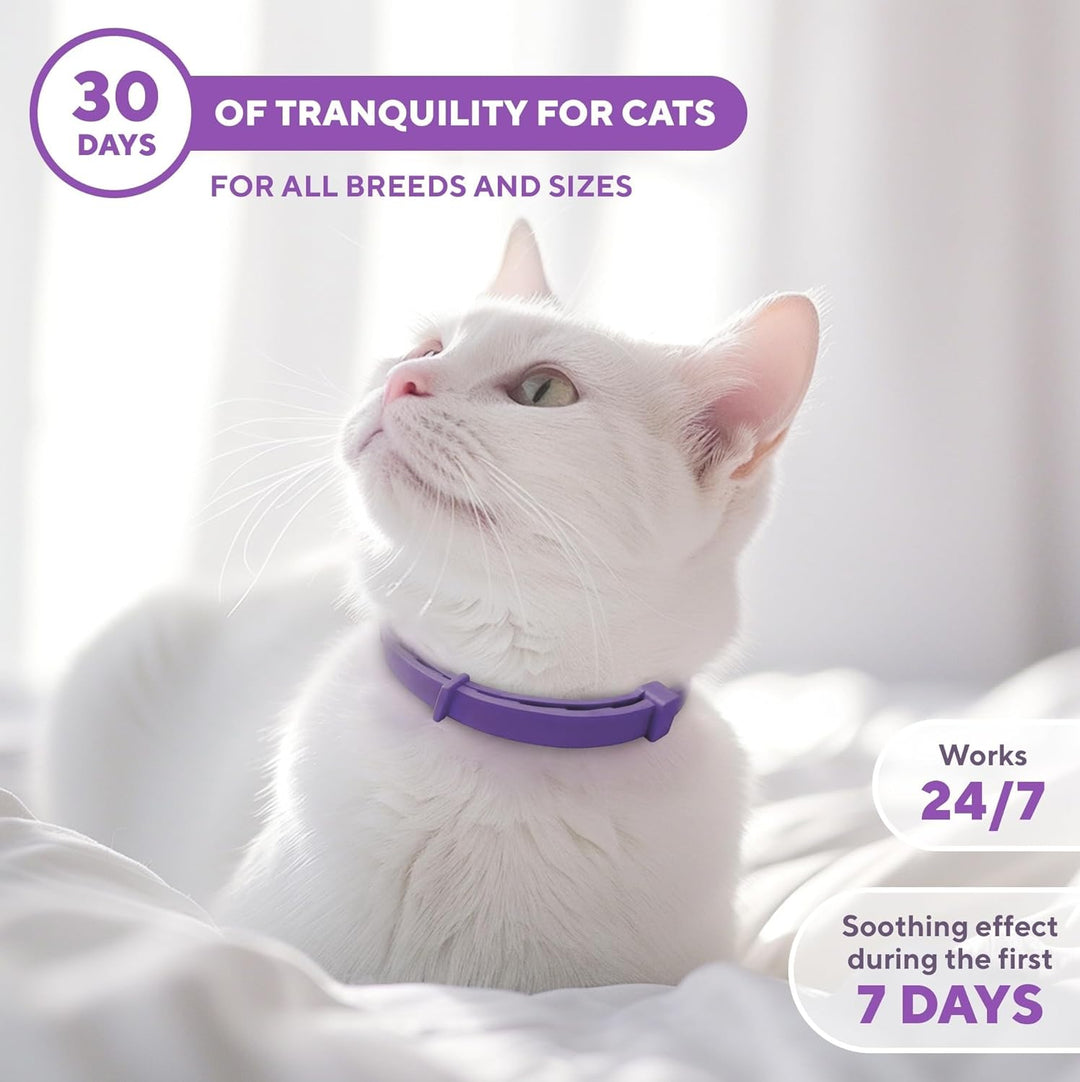 Illustration of Cat Collars For Reducing Anxiety
