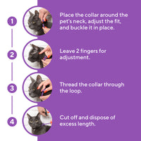 Calming Collar for Cats | Improved DE-Stress Formula | Reduces Anxiety for cats — Beloved Pets, photo 7 — photo 7