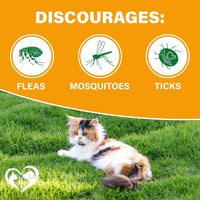 Beloved Pets Flea & Tick Support Chewable Treats with Chicken Flavor f for cats — Beloved Pets, photo 2 — photo 2