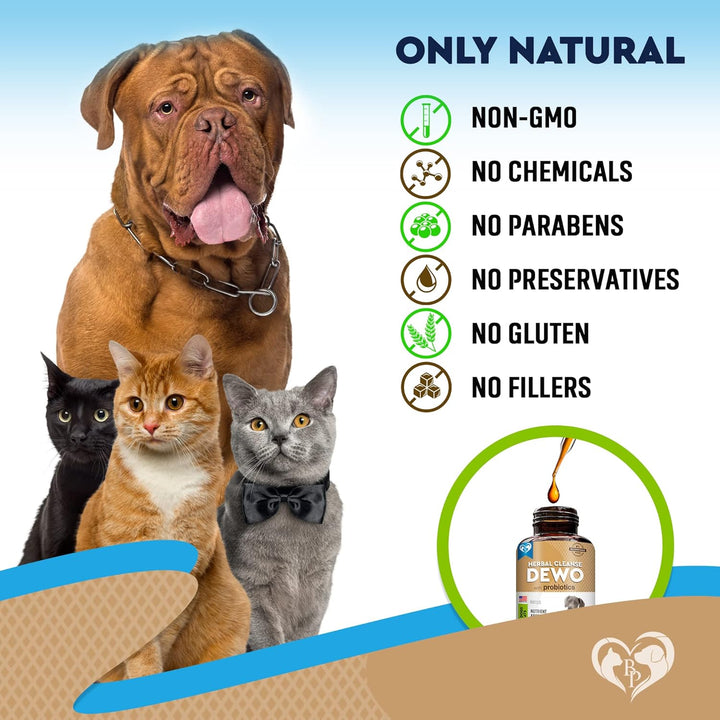 Beloved Pets Herbal Digestive Supplement with Probiotics for Cats & Dogs, 2-fl oz bottle