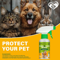 Natural Flea & Tick Home Spray for cats and dogs — Beloved Pets, photo 7 — photo 7