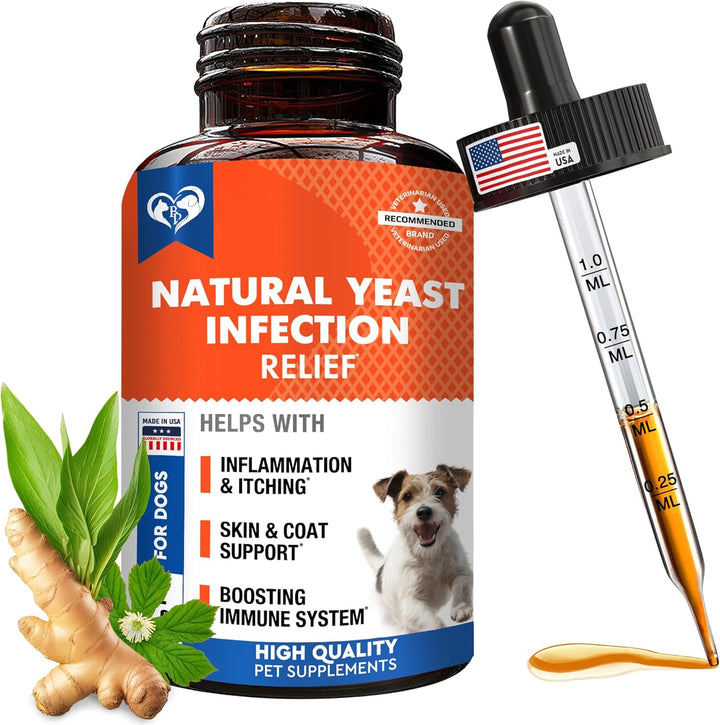 Beloved Pets Herbal Comfort & Wellness Liquid Supplement for Dogs & Cats, 2-fl oz Bottle