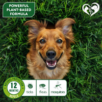 Natural Flea & Tick Collar for Dogs for dogs — Beloved Pets, photo 3 — photo 3