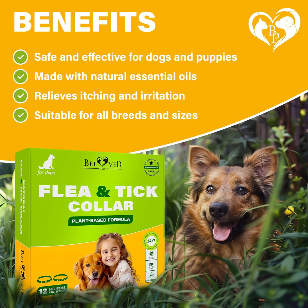 Natural Flea & Tick Collar for Dogs - 6 Months Control of Best Prevention & Safe Treatment - Anti Fleas and Ticks Essential Oil Repellent (1 Pack, 2 Count)