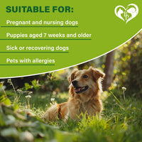 Natural Flea & Tick Collar for Dogs for dogs — Beloved Pets, photo 6 — photo 6