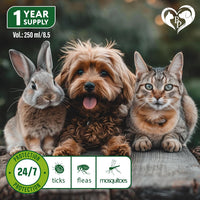 Natural Flea & Tick Home Spray for cats and dogs — Beloved Pets, photo 2 — photo 2