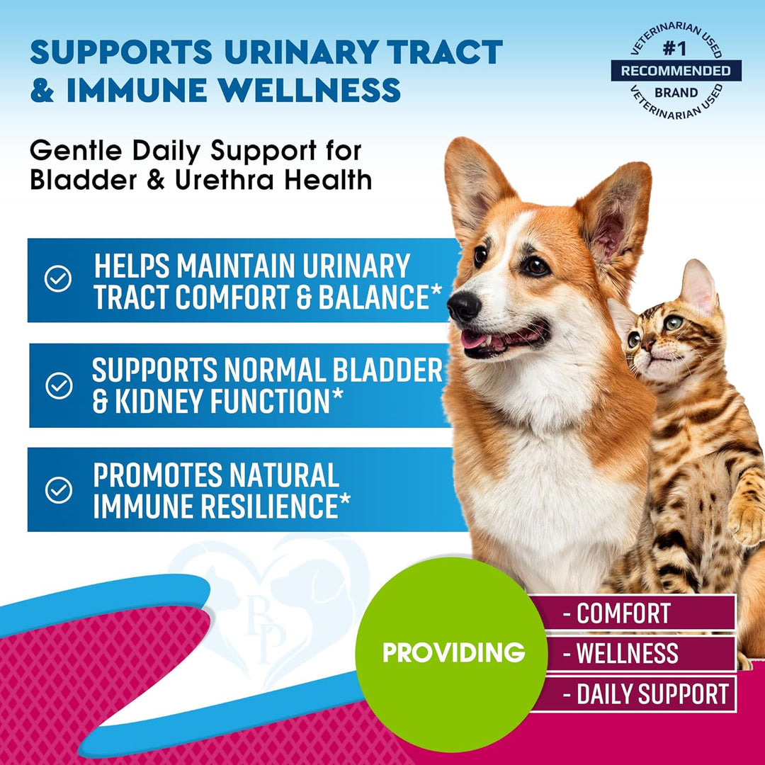 Cat & Dog Urinary Tract Infection Treatment & Natural UTI Medicine Cranberry & D-Mannose -Kidney+Bladder Support - Best Incontinence, Bladder Stones - Pet Renal Health & Care Drops