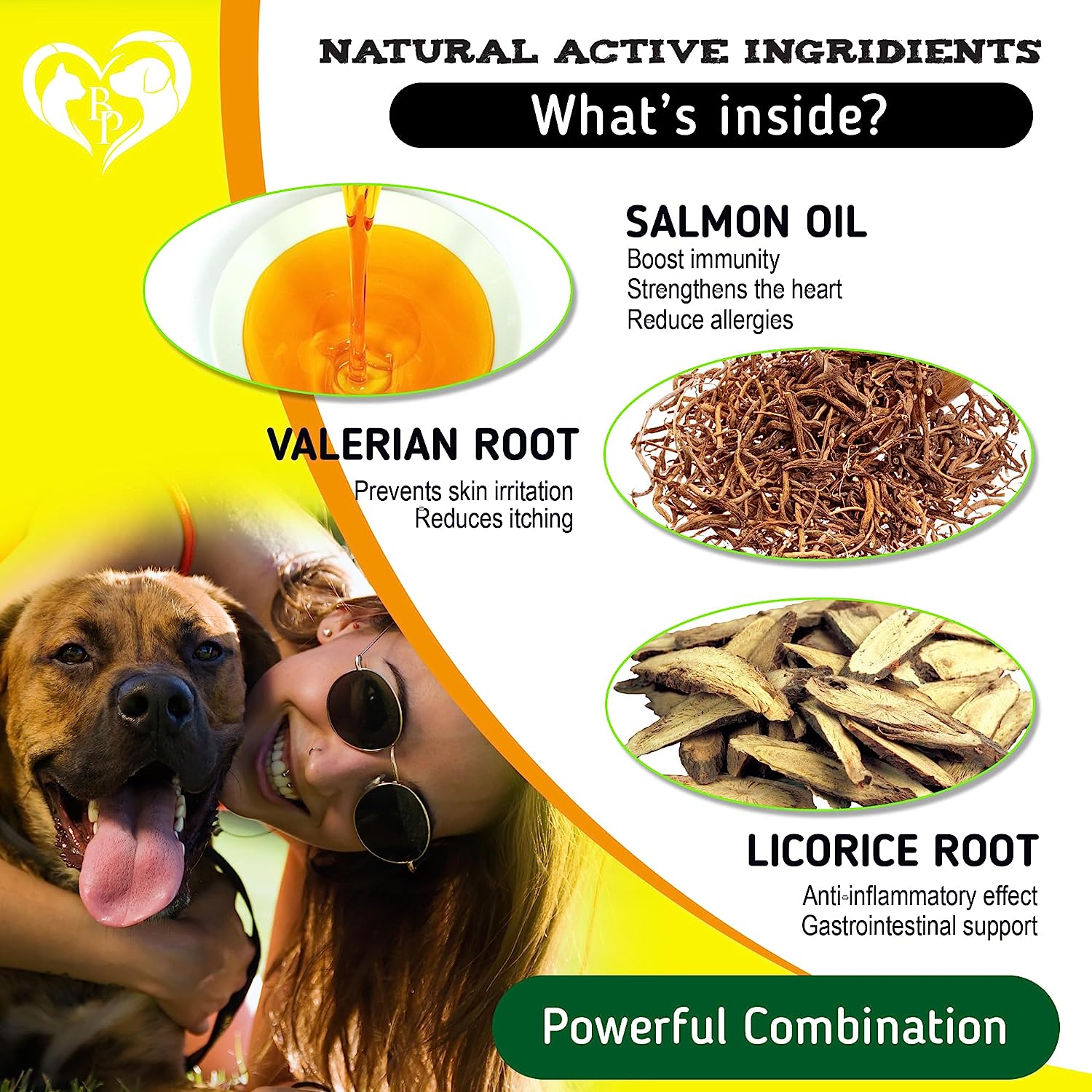 Anti allergy medication outlet for dogs