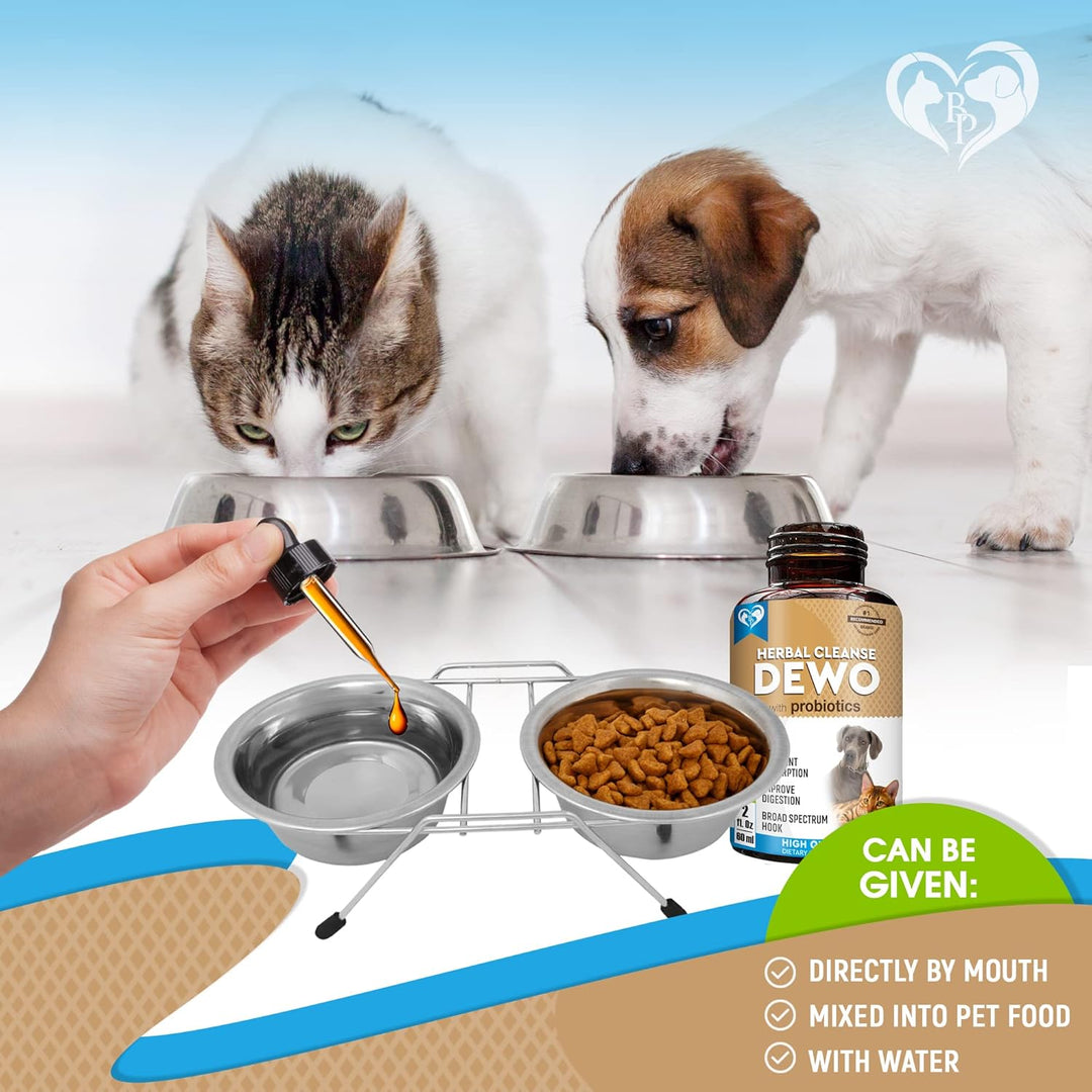 Beloved Pets Herbal Digestive Supplement with Probiotics for Cats & Dogs, 2-fl oz bottle