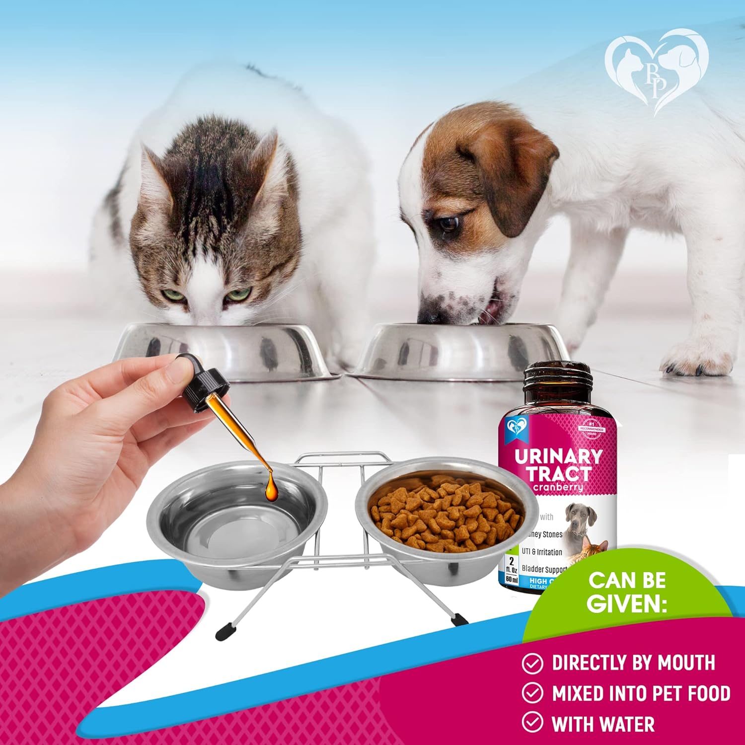 Bladder stone food fashion for dogs