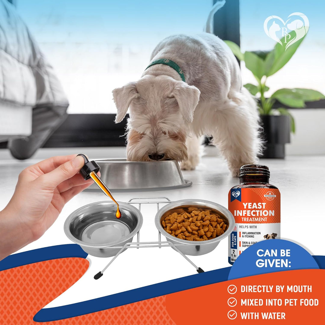Beloved Pets Herbal Comfort & Wellness Liquid Supplement for Dogs & Cats, 2-fl oz Bottle