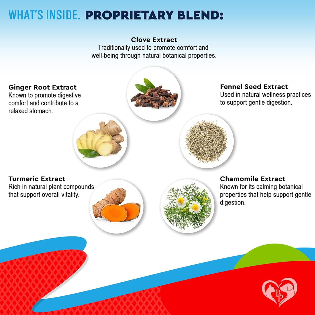 Natural Intestinal Defense for Dogs & Cats – Herbal Cleanse with Wormwood, Black Walnut – Promotes Healthy Gut & Flora Balance – Advanced Broad Spectrum Formula (2 Pack (60 ml + 60ml))