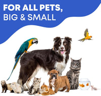 Cat & Dog Ear Cleaner Drops & Wash for cats and dogs — Beloved Pets, photo 8 — photo 8