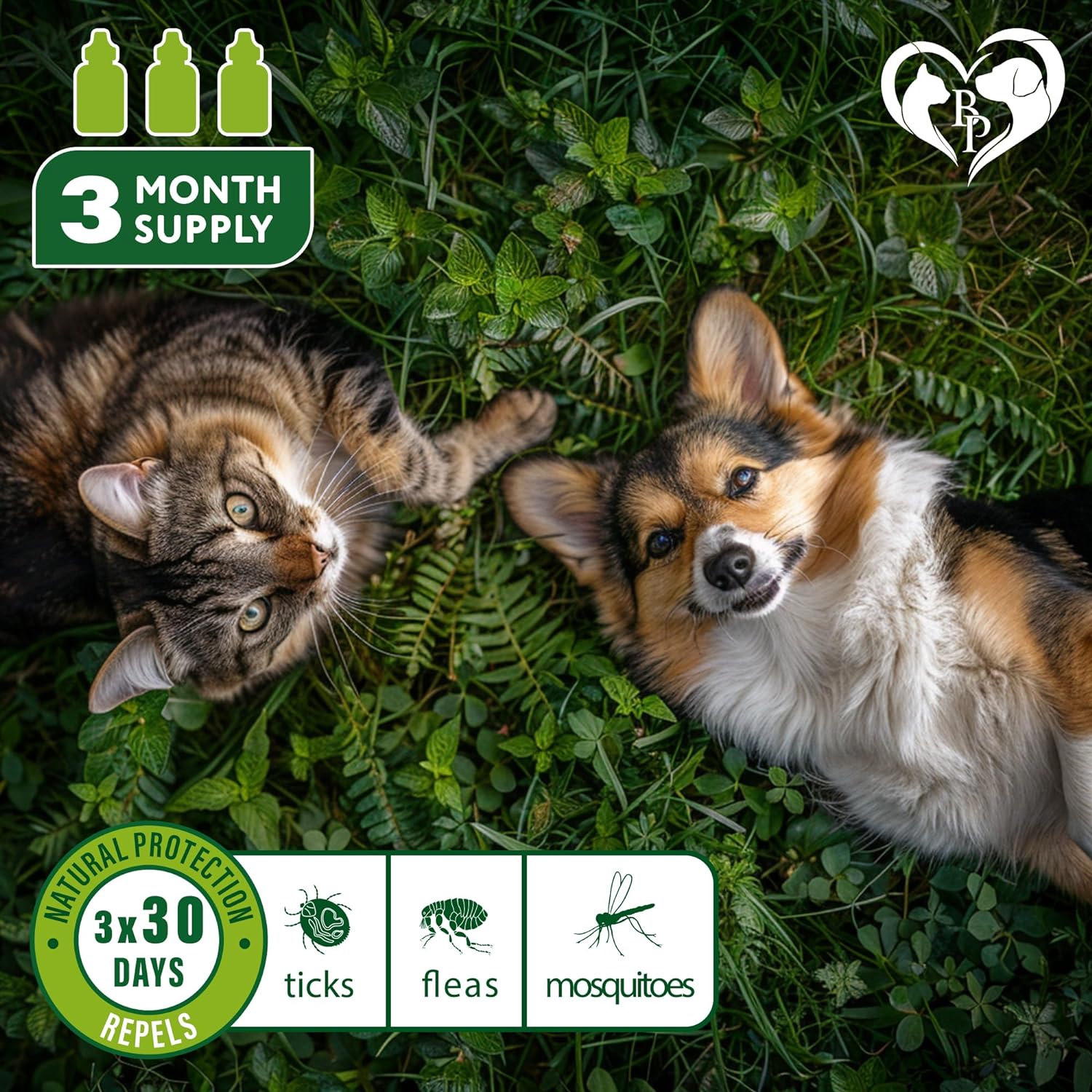 Natural Flea and Tick Prevention for Dogs and Cats 3 Months Supply Belovedpetsbrand