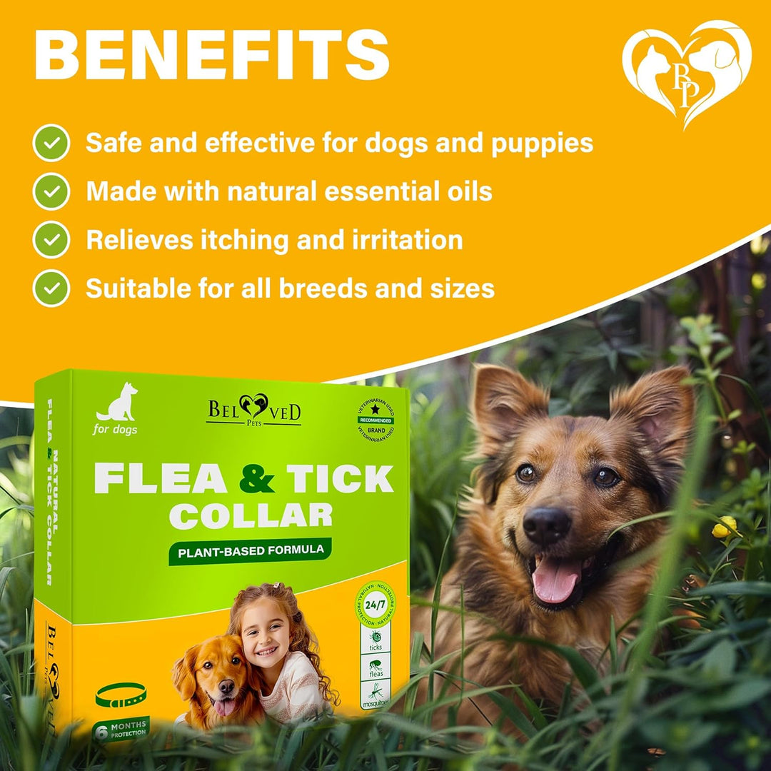 Natural Flea & Tick Collar for Dogs - 6 Months Control of Best Prevention & Safe Treatment - Anti Fleas and Ticks Essential Oil Repellent (1 Count (Pack of 1))