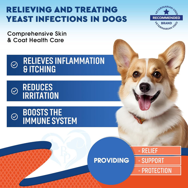 Beloved Pets Herbal Comfort & Wellness Liquid Supplement for Dogs & Cats, 2-fl oz Bottle