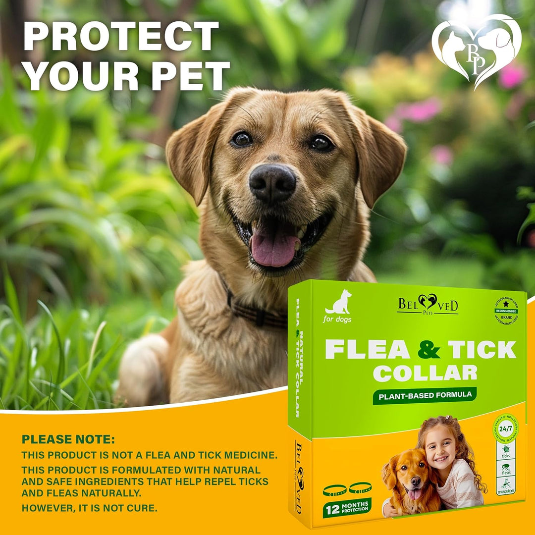 Natural Flea & Tick Collar for Dogs - 6 Months Control of Best Prevention & Safe Treatment - Anti Fleas and Ticks Essential Oil Repellent (1 Pack, 2 Count)