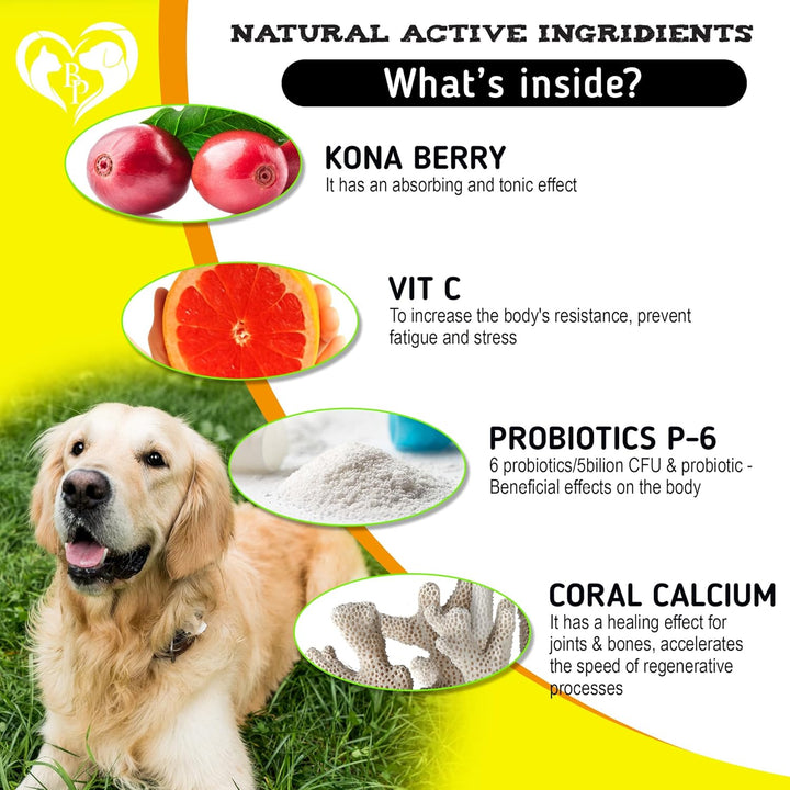 Dog Anti Itch & Allergy Relief Chews - Dry Itchy Skin & Hot Spot Treatment with Probiotic, Omega 3 Oil- Immune Supplement & Seasonal Allergies Medicine for Dogs, Puppy - 140 Bites Made in USA