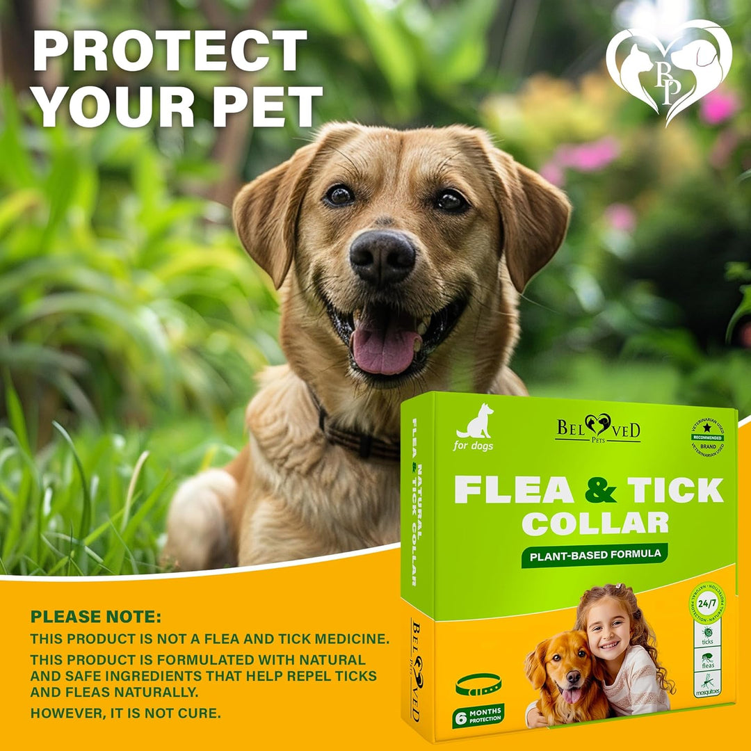 Natural Flea & Tick Collar for Dogs - 6 Months Control of Best Prevention & Safe Treatment - Anti Fleas and Ticks Essential Oil Repellent (1 Count (Pack of 1))