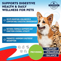 Natural Intestinal Defense for Dogs & Cats for cats and dogs — Beloved Pets, photo 2 — photo 2