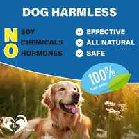Spot-On Flea & Tick for Small Pets for dogs — Beloved Pets, photo 5 — photo 5