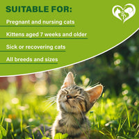 Natural Flea & Tick Collar for Cats for cats and dogs — Beloved Pets, photo 6 — photo 6