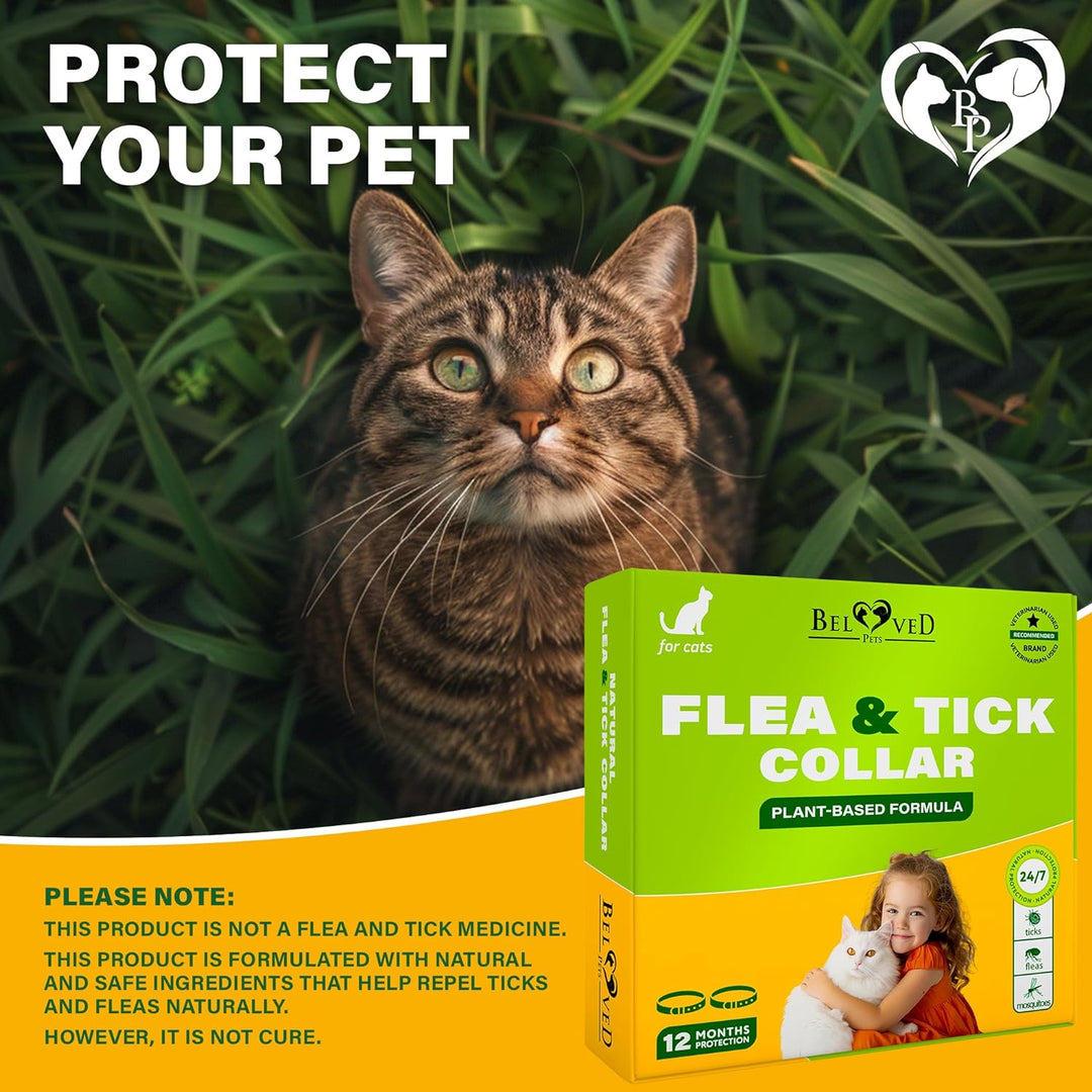 Natural Flea & Tick Collar for Cats - 12 Months Control of Best Prevention & Safe Treatment - Anti Fleas and Ticks Essential Oil Repellent (2 Pack)