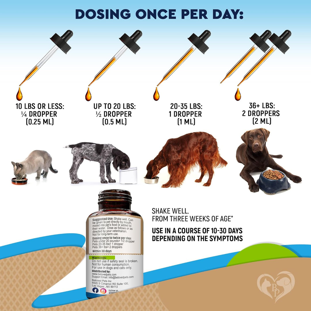 Beloved Pets Herbal Digestive Supplement with Probiotics for Cats & Dogs, 2-fl oz bottle