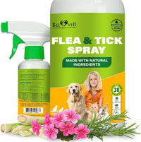 Natural Flea & Tick Home Spray for cats and dogs — Beloved Pets — photo 1