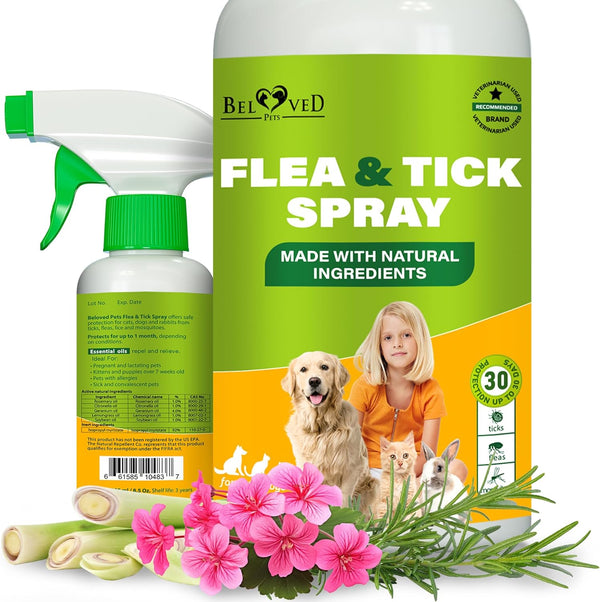 Natural Flea & Tick Home Spray for cats and dogs — Beloved Pets