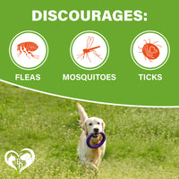 Flea & Tick Chewables for dogs — Beloved Pets, photo 2 — photo 2