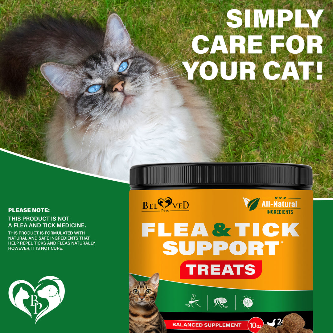 Beloved Pets Flea & Tick Support Chewable Treats with Chicken Flavor for Cats, 10-oz Pack