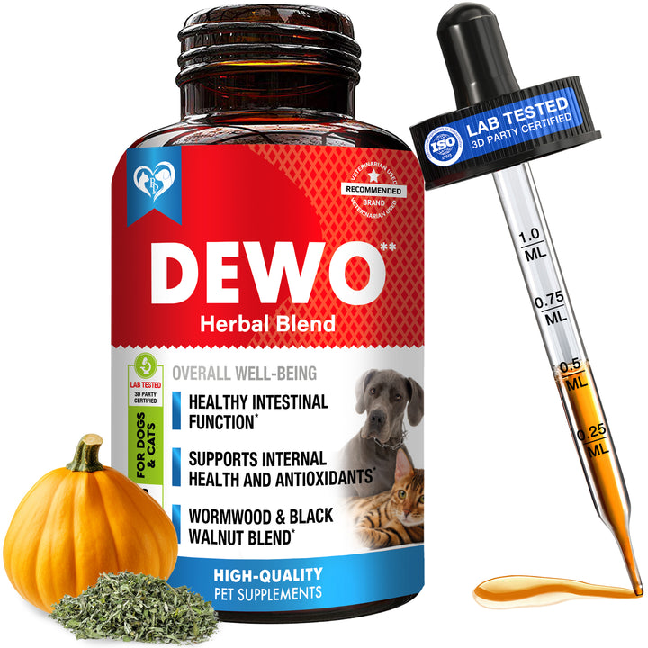 Natural Intestinal Defense for Dogs & Cats – Herbal Cleanse with Wormwood, Black Walnut – Promotes Healthy Gut & Flora Balance 2-fl oz bottle.