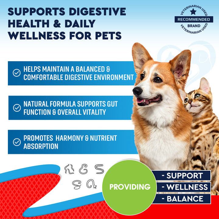 Natural Intestinal Defense for Dogs & Cats – Herbal Cleanse with Wormwood, Black Walnut – Promotes Healthy Gut & Flora Balance 2-fl oz bottle.